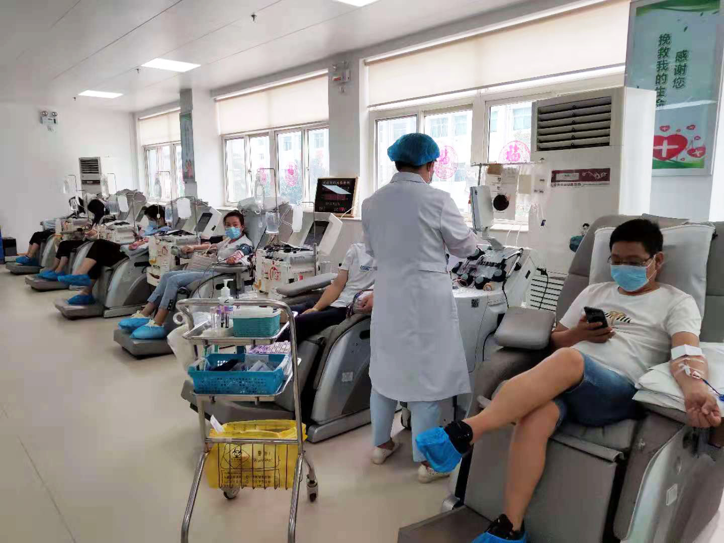 單采成分血、機(jī)采血小板獻(xiàn)血中